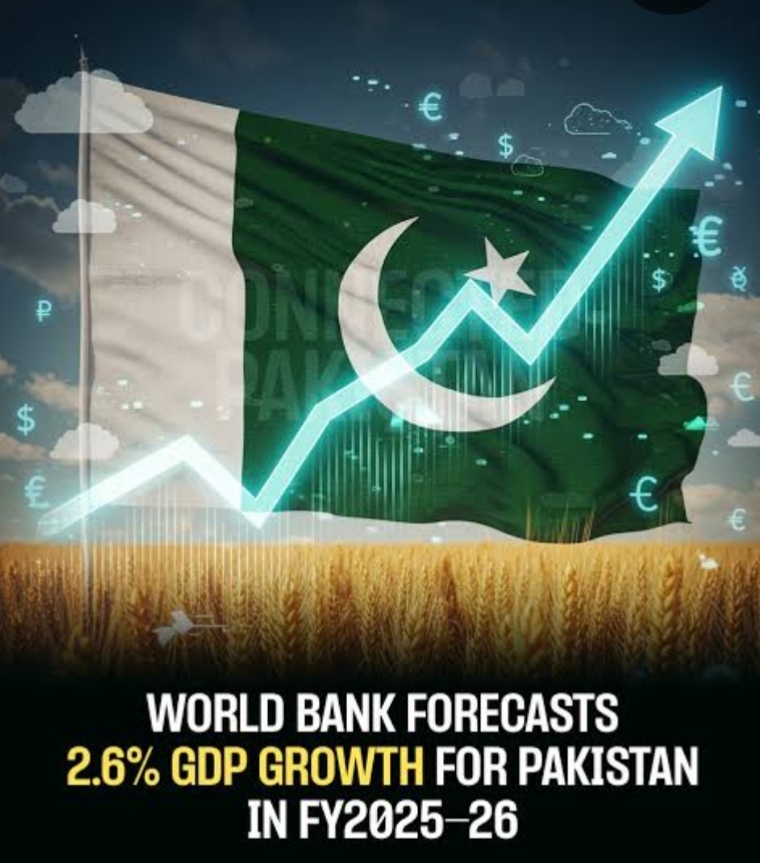 Pakistan's economy